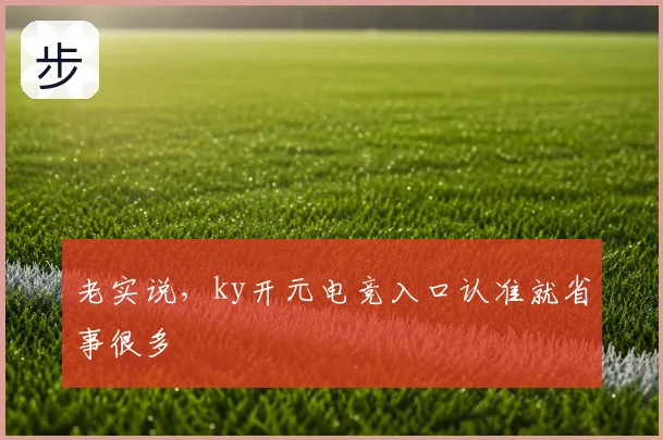 老实说,ky开元电竞入口认准就省事很多